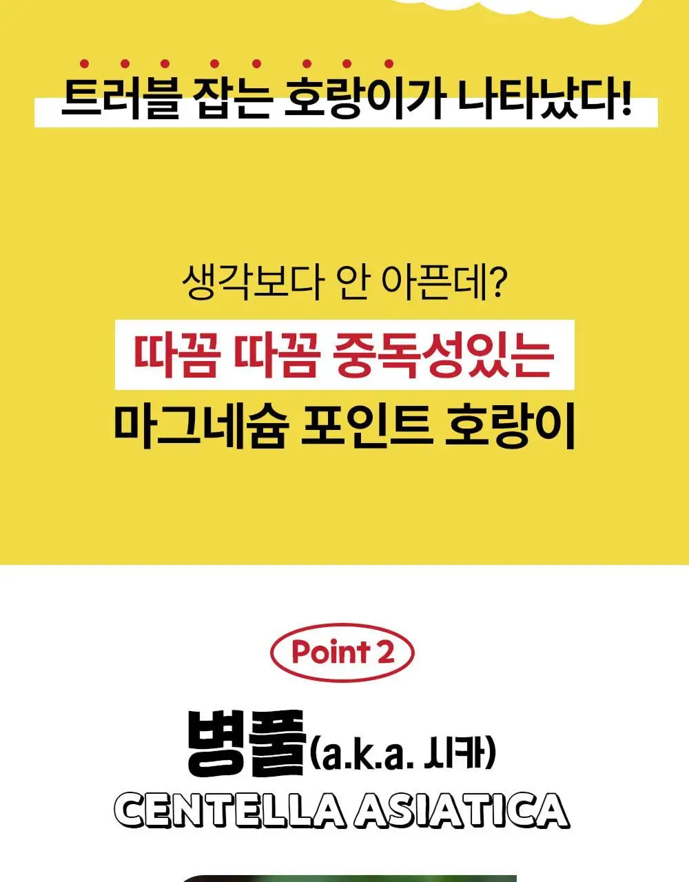 [짜기전/올인원 케어] 스노우투플러스 따꼼 호랑이 패치 3종 택 1 (단품 / 혼합) 상세페이지 38